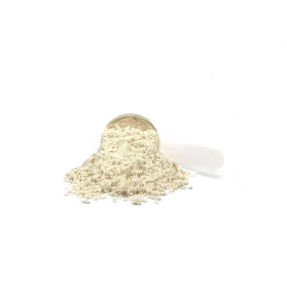 OATENTIK 25g scoop measuring oat drink powder
